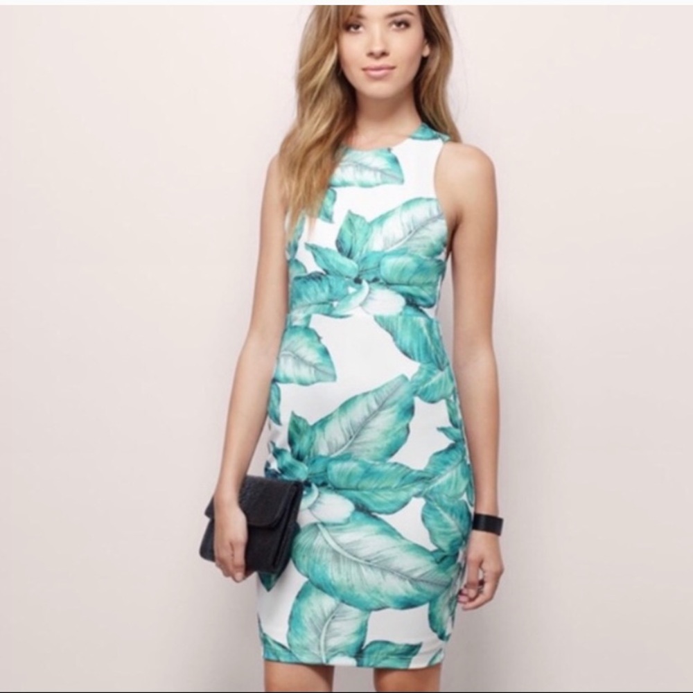 Tobi leaf print dress